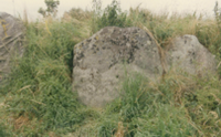 constructions mégalithiques au Danemark  La tombe du roi Humble sur l'ile de Langeland