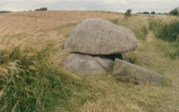 constructions mégalithiques au Danemark  La tombe du roi Humble sur l'ile de Langeland