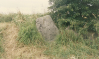 constructions mégalithiques au Danemark  La tombe du roi Humble sur l'ile de Langeland