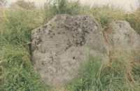 constructions mégalithiques au Danemark  La tombe du roi Humble sur l'ile de Langeland