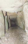 constructions mégalithiques au Danemark le tumulus du Klekkendehoj sur l'ile de Mon