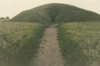 constructions mégalithiques au Danemark le tumulus du Kong Asgers Hoj sur l'ile de Mon