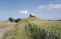 constructions mégalithiques au Danemark le dolmen du Somarkedyssen sur l'ile de Mon