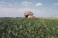 constructions mégalithiques au Danemark le dolmen du Stendysse Raby sur l'ile de Mon