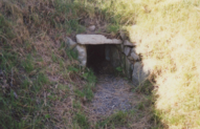 constructions mégalithiques au Danemark Le tumulus Jaettestue sur l'ile de Mon