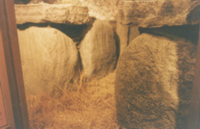 constructions mégalithiques au Danemark reconstitution d'un dolmen au Moesgard museum