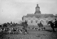 chasse à courre