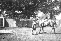 épreuves hippiques et courses de chevaux