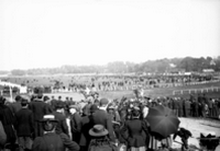 épreuves hippiques et courses de chevaux