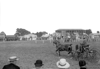 épreuves hippiques et courses de chevaux