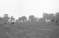 épreuves hippiques et courses de chevaux