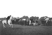 épreuves hippiques et courses de chevaux