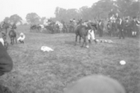 épreuves hippiques et courses de chevaux