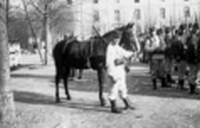 Grandes manoeuvres de 1901 et visite du tsar Nicolas II