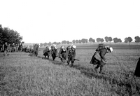 Grandes manoeuvres de 1901 et visite du tsar Nicolas II