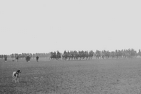 Grandes manoeuvres de 1901 et visite du tsar Nicolas II