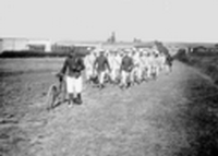 Grandes manoeuvres de 1901 et visite du tsar Nicolas II